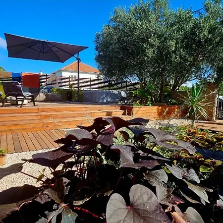 Pelleloni Apartamento *