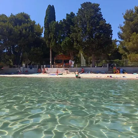 Pelleloni