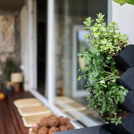 Pelleloni Apartamento *