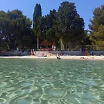 Pelleloni